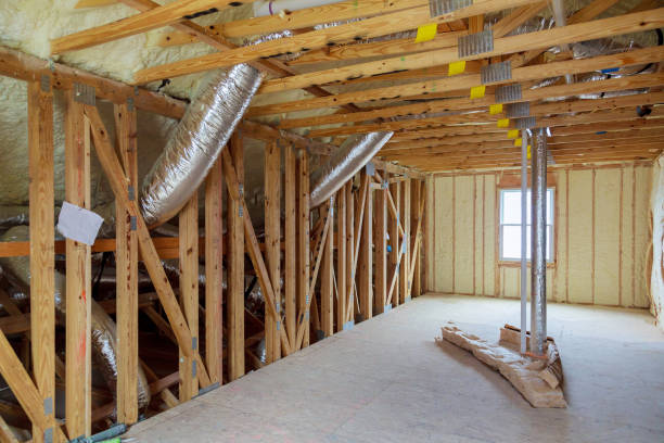 Best Insulation Contractors for Homes  in Fruitvale, CO