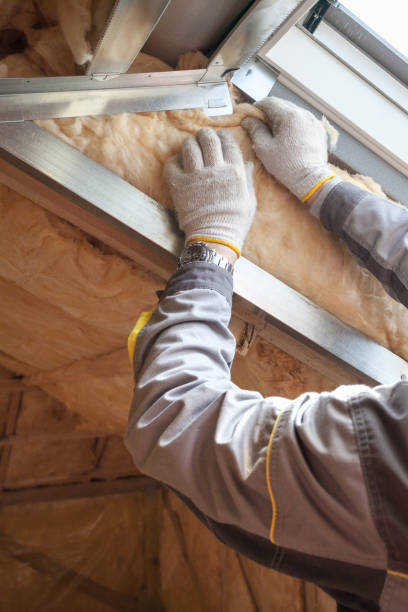 Best Local Insulation Services  in Fruitvale, CO