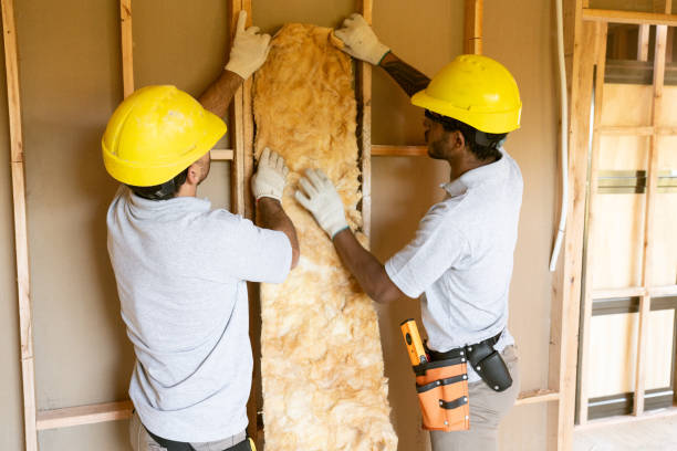 Best Insulation Removal  in Fruitvale, CO